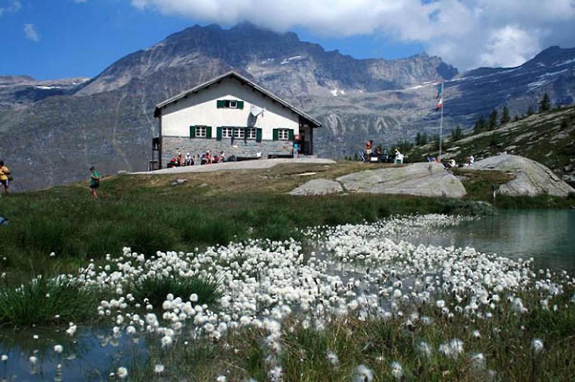 CERESOLE. Jervis
