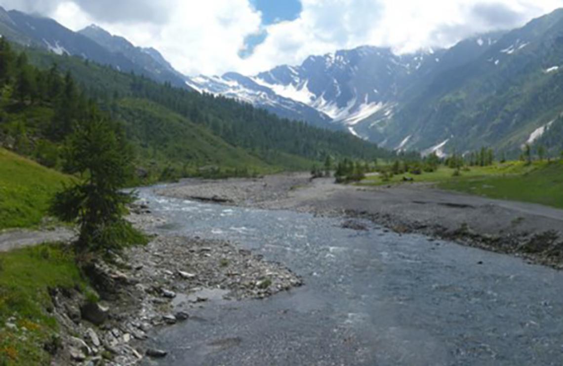 TORINO. Trovato cadavere lungo torrente, forse bagnante