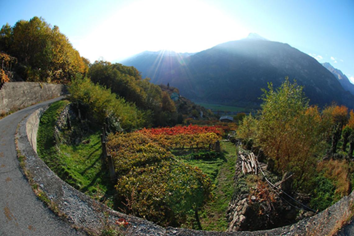 CAREMA. Così i giovani diventano guide turistiche