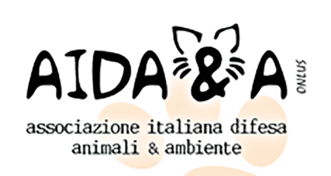 ROMA. Estate: Aidaa, dimezzate multe per divieto cani in spiaggia