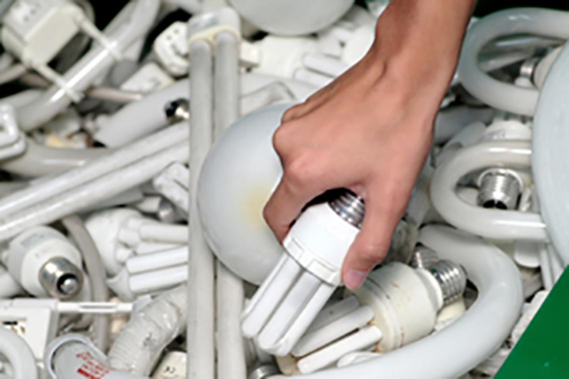 ROMA. Record raccolta lampadine esaurite,in 6 mesi 1,11 tonnellate