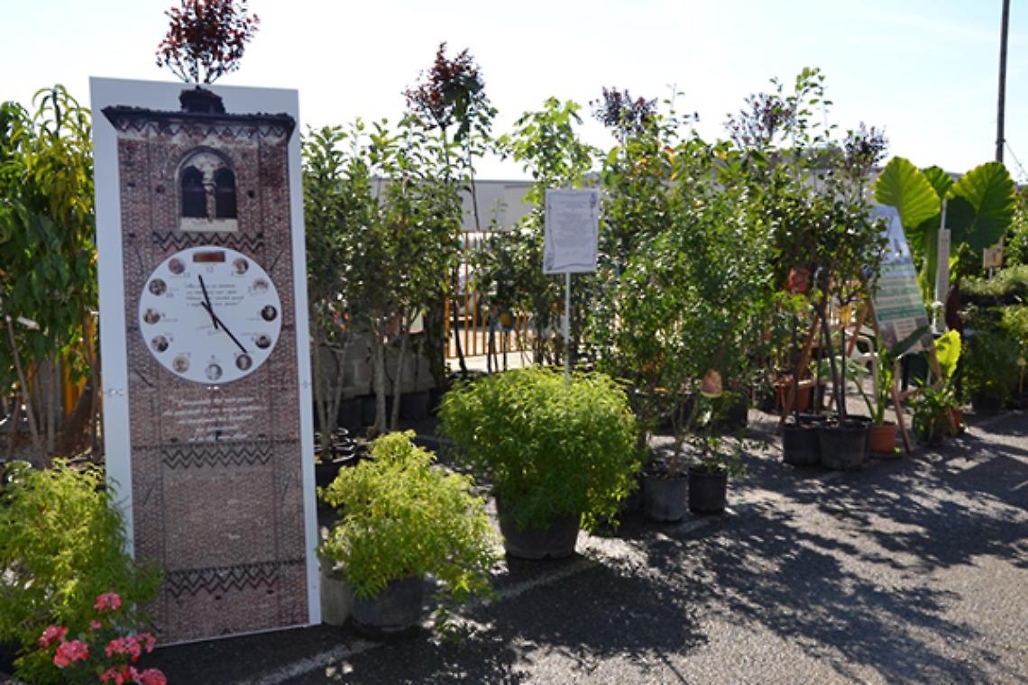 PANCALIERI. Non solo menta dal 18 al 22 settembre