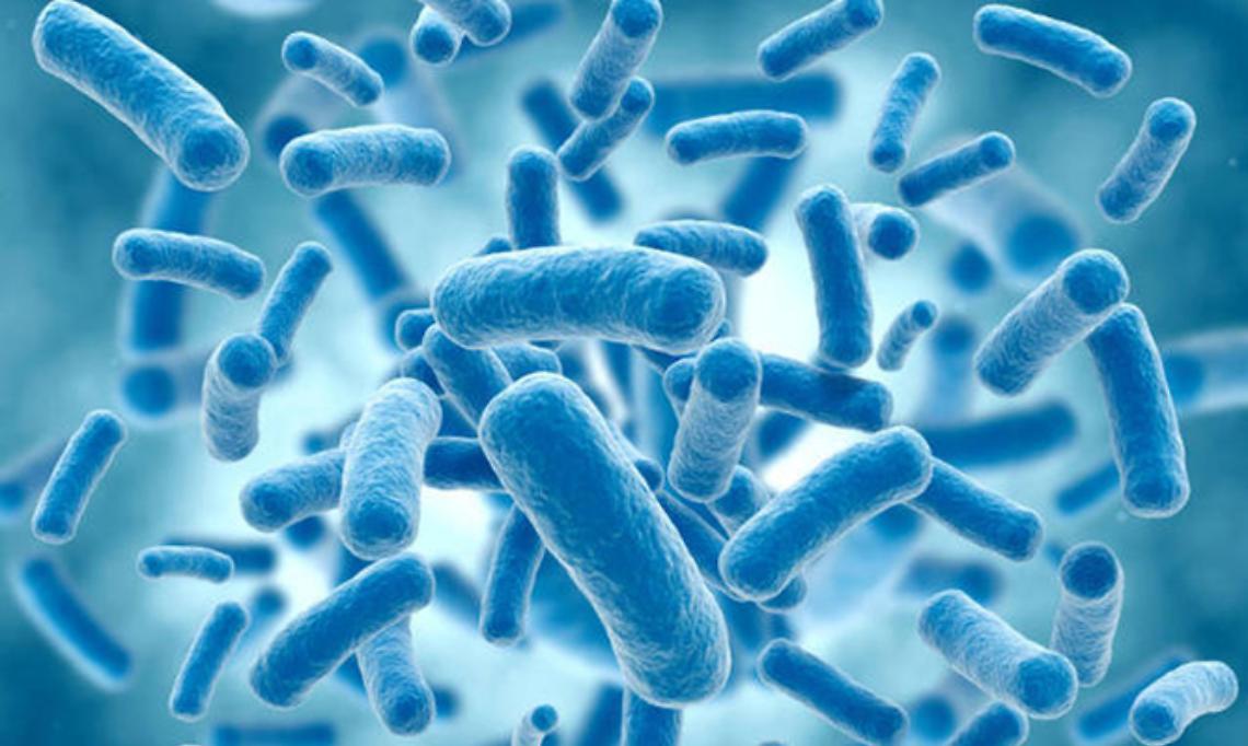 TORINO. Virus e batteri 'mutanti', microbiologi studiano contromosse