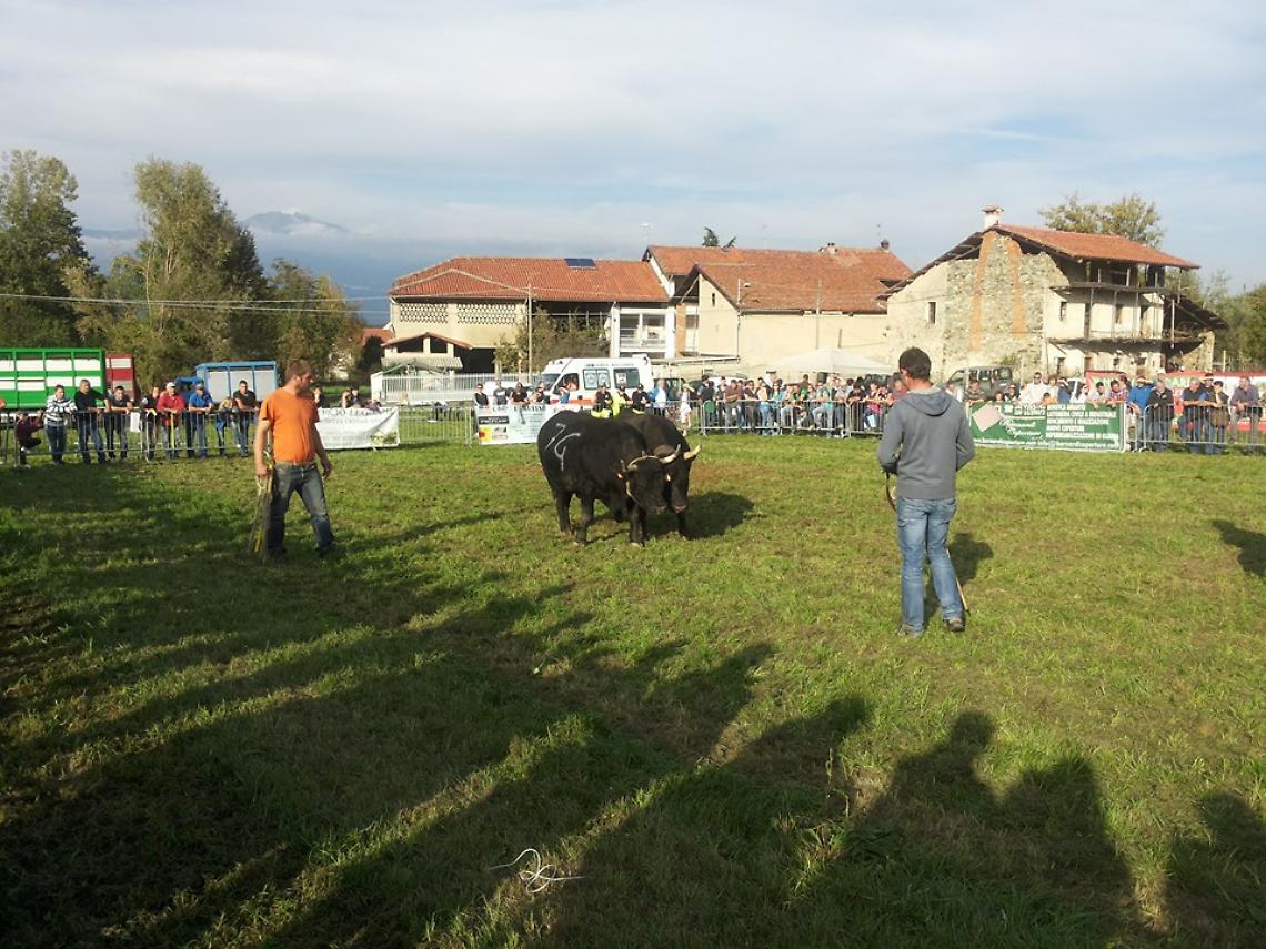 SAN MARTINO. La Battaglia delle Reines a Pranzalito