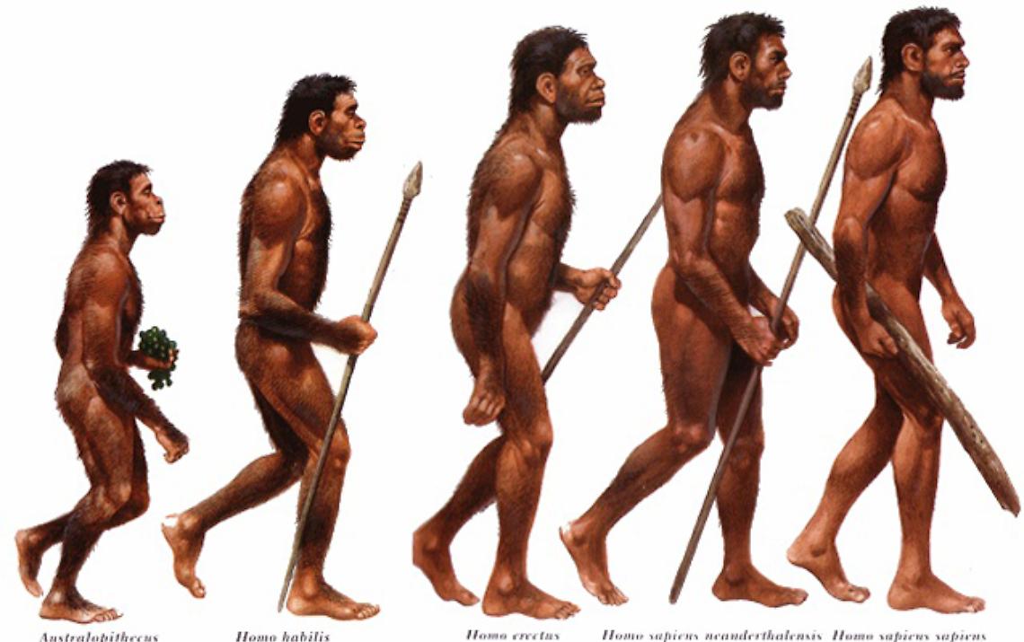 IVREA. Processo all'Homo Sapiens