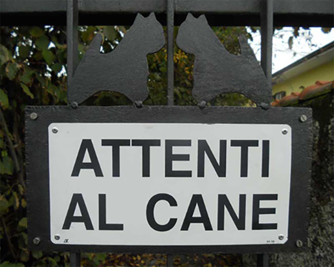 TORINO. Cane spaventa ladro in casa e lo 'sequestra' in bagno