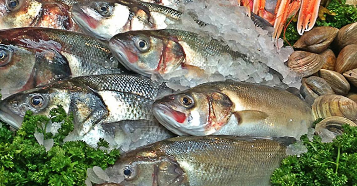 ROMA. Sequestrate 3 tonnellate pesce avariato