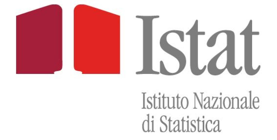 ROMA. Comuni: Istat, nel 2016 entrate in calo del 6,1%