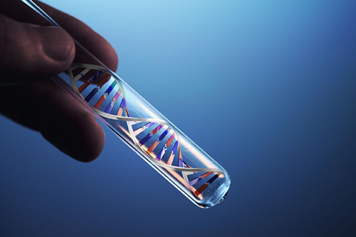 IVREA. Istituto di Biotecnologie, al via il secondo anno