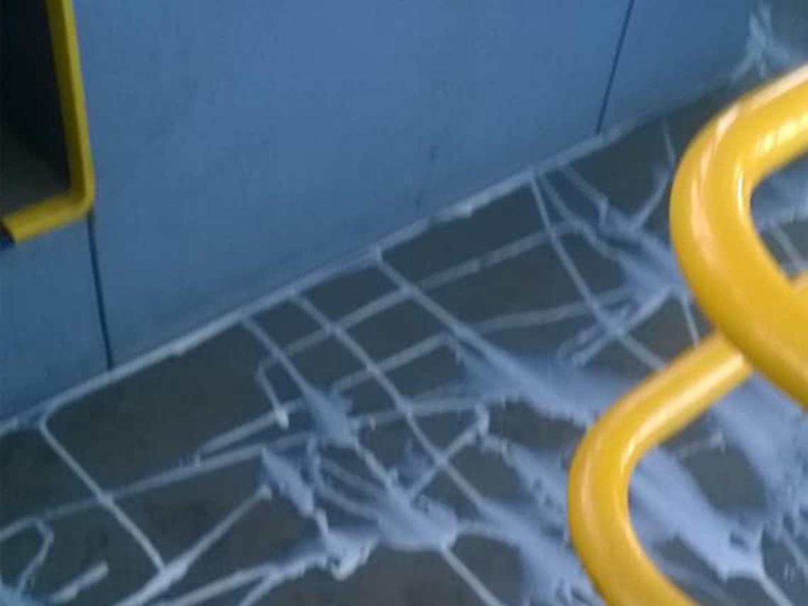 BORGARO. Atti vandalici sul bus 69