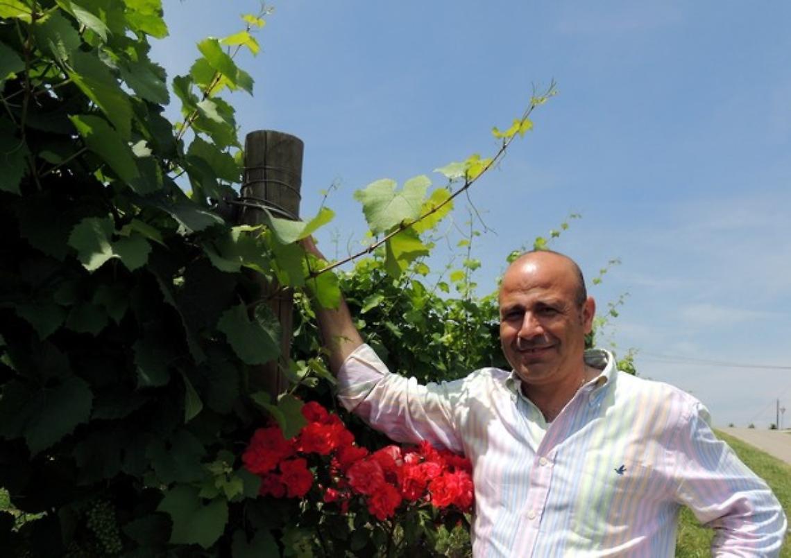 ASTI. Vino: Douja d'Or Asti, premiati 283 vini italiani