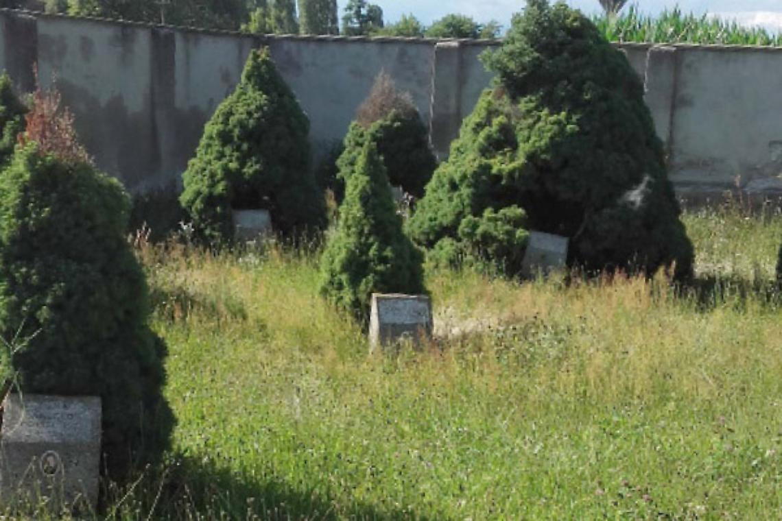 CHIVASSO. Erba alta nei cimiteri e sulla ciclabile