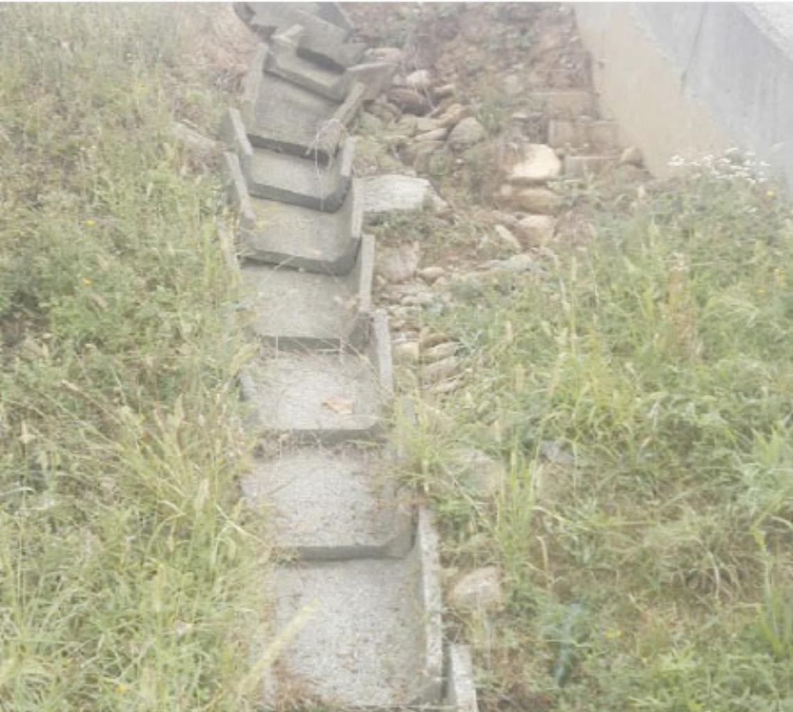FELETTO. Aggiustate la strada!