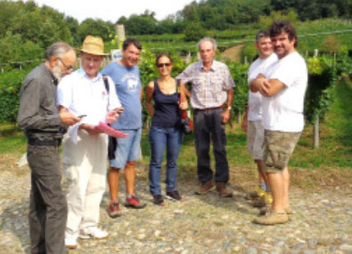 VISCHE. Riunita la commissione per la miglior vigna