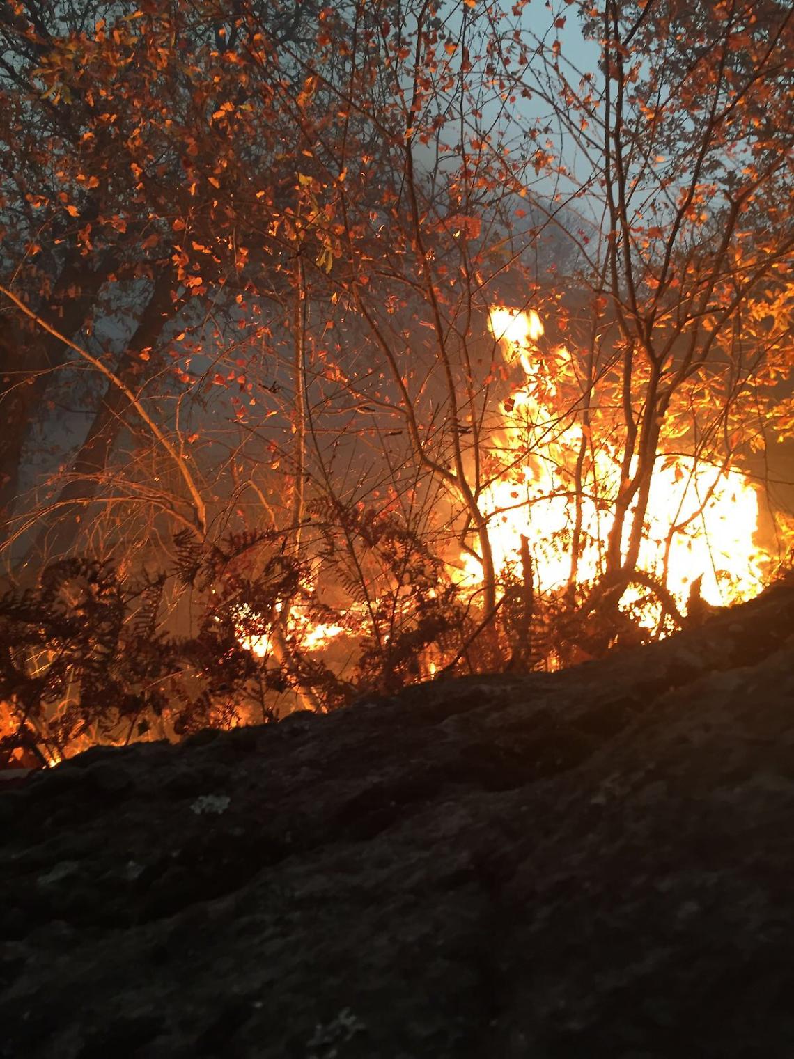 CANISCHIO. Fiamme nei boschi di Cima Mares. Non è escluso il dolo