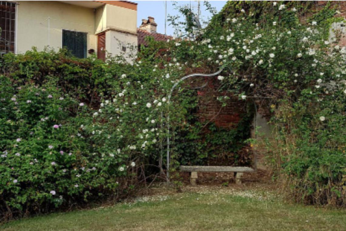 BRANDIZZO. Grazie ai volontari fioriscono le rose di Madame Fourrat