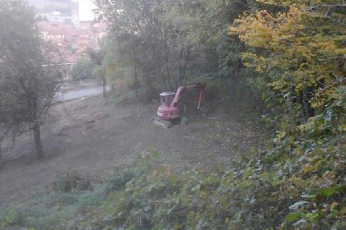 CASALBORGONE. Un bosco nella strada della Torricella