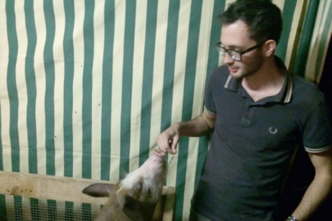 CIRIE. Regolamento tutela animali, scontro surreale tra i consiglieri