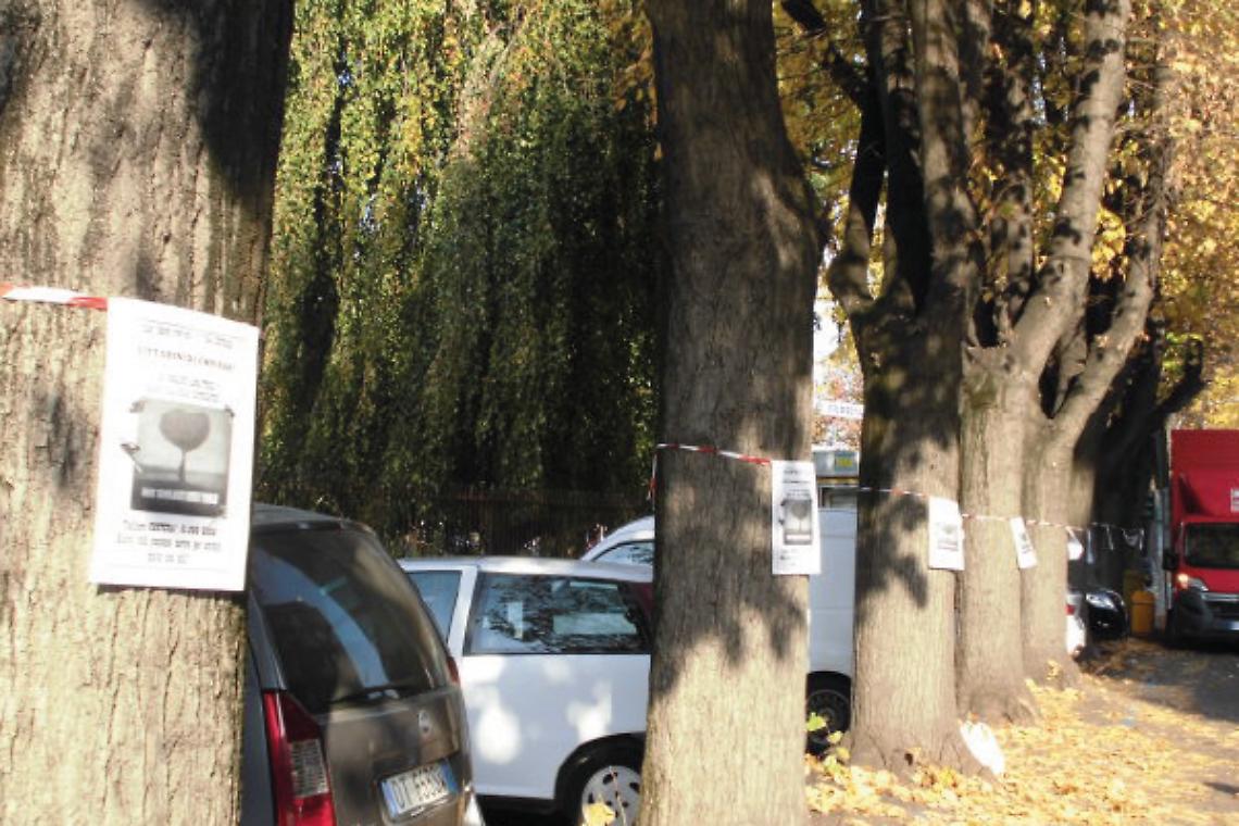 CHIVASSO. E’ proprio necessario tirar giù i diciassette tigli dell’ospedale?