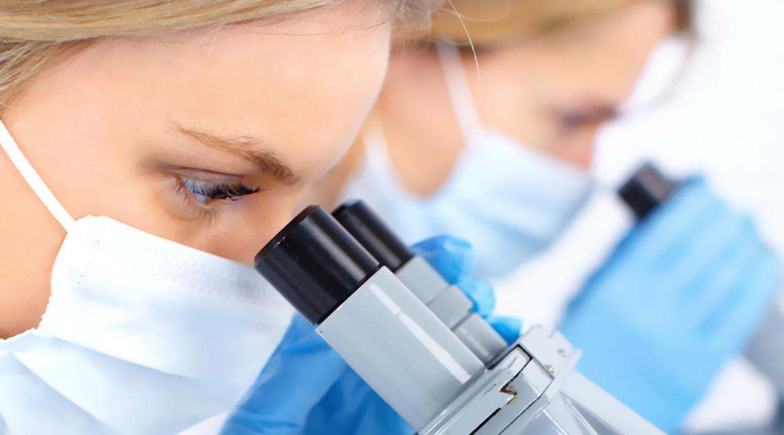 ROMA. Neuroni immaturi,la riserva che può prevenire invecchiamento