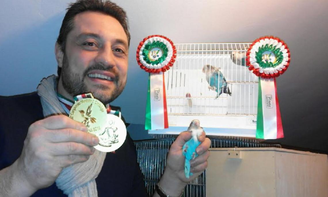 CASTIGLIONE. Massimiliano ha i pappagalli più belli e premiati del mondo