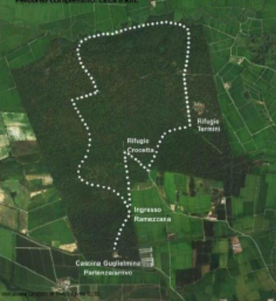 TRINO. Camminata con Legambiente nel Bosco della Partecipanza