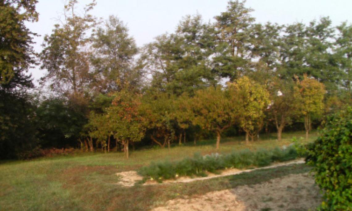 BRUSASCO. Quando a Brusasco  comparve la Madonna