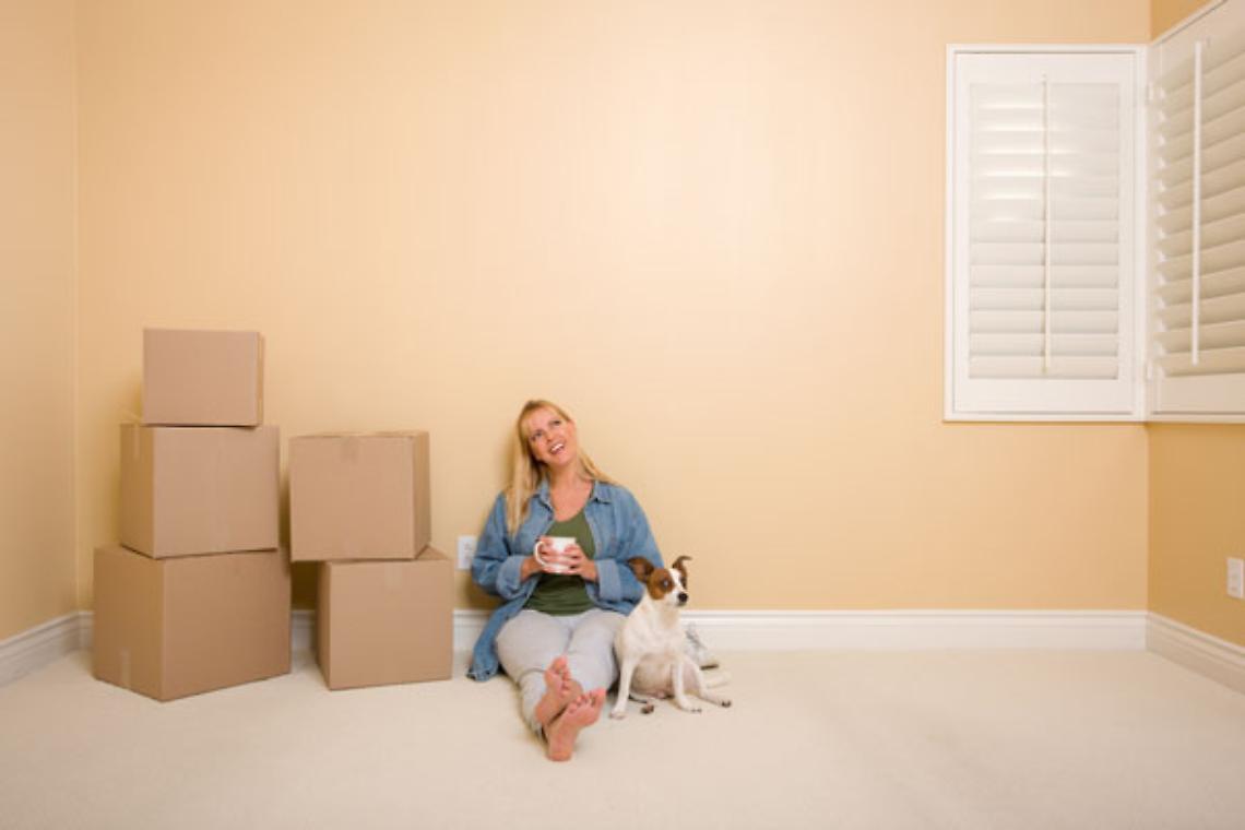 8 consigli per traslochi con animali