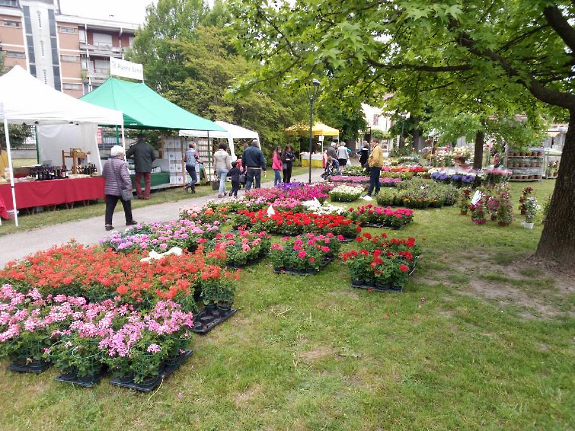 CRESCENTINO. Serate danzanti al parco Tournon