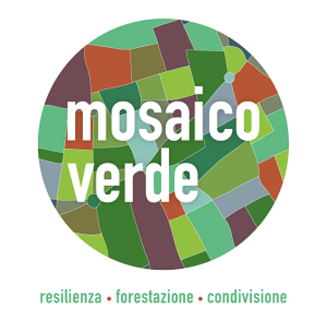 ROMA. Parte Mosaico Verde,in Italia 300mila nuovi alberi in 3 anni