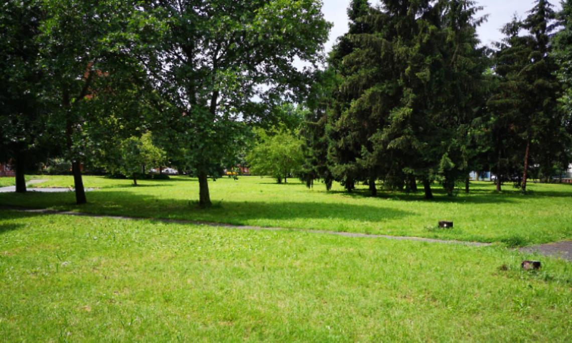 VENARIA. Cane avvelenato al parco: è allarme