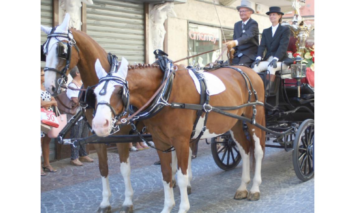 IVREA. San Savino, scambio dei ceri e processione