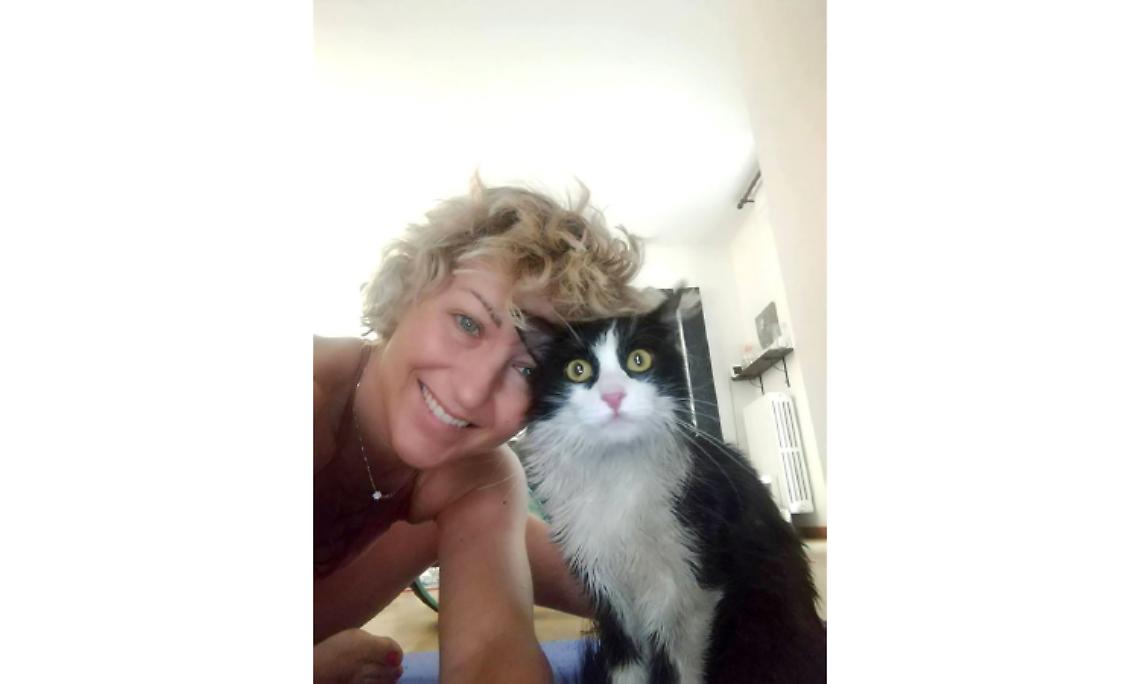 SETTIMO TORINESE. Il gatto Matisse è salvo per miracolo