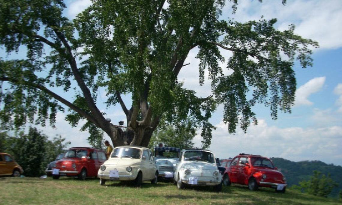 SAN SEBASTIANO. “Ginkgo Festival” alla Villa Musica da sogno sotto l’albero