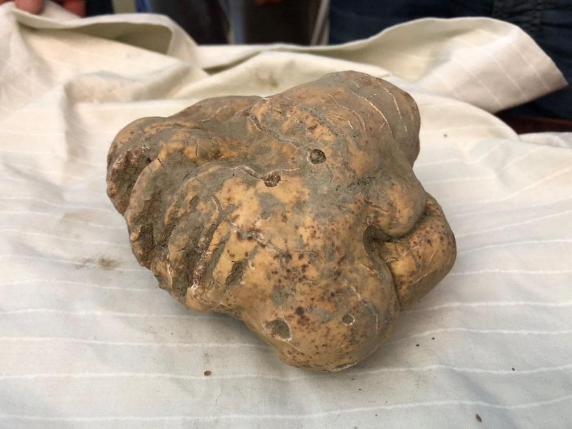 RIVALBA. Annullata anche la Fiera del Tartufo
