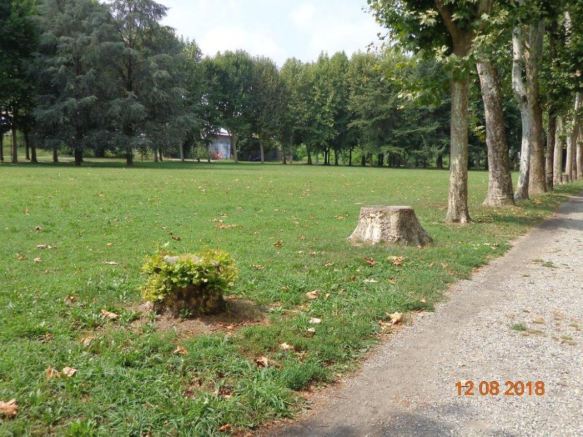 CHIVASSO. Bene la festa del Carletti, ma Castello si ricordi di  piantare gli alberi al Mauriziano