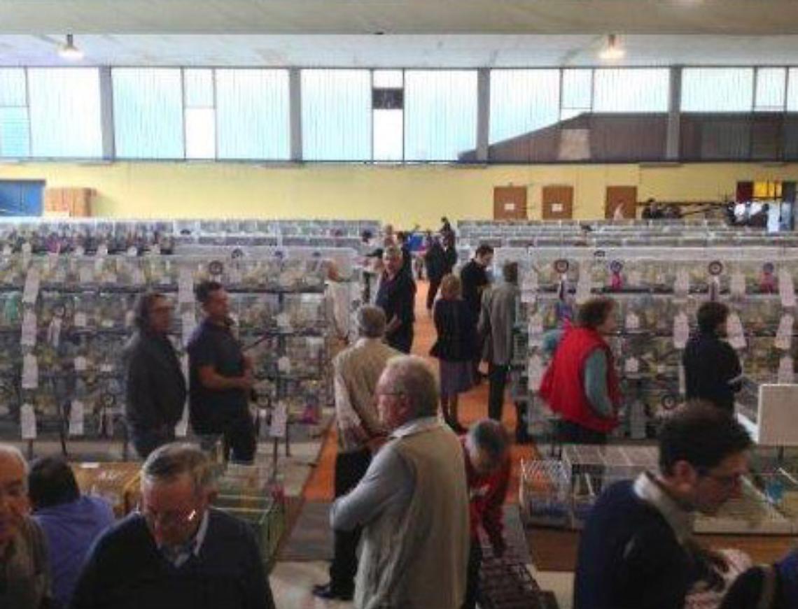 CHIVASSO. Una raccolta firme contro la mostra ornitologica