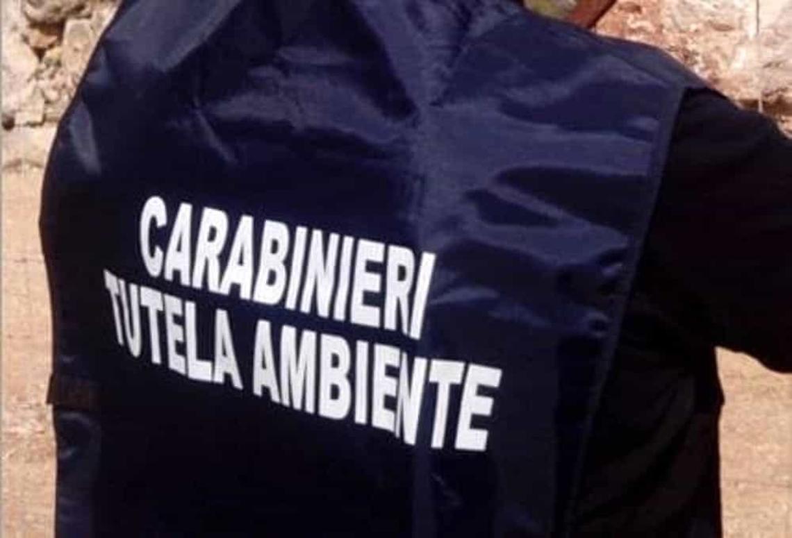 ALESSANDRIA. Gestione illecita rifiuti edili, Noe denuncia imprenditore
