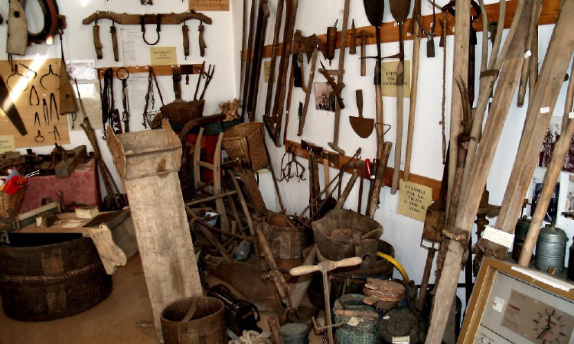 VISCHE. A Vische c’è il Museo Vischorum