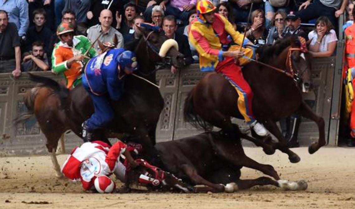 SIENA. Enpa: "Faremo denuncia per il cavallo morto al Palio"