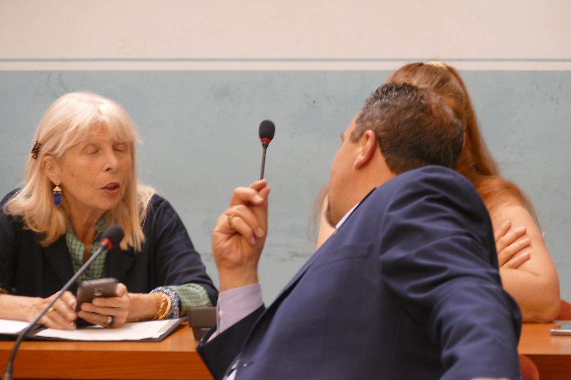 IVREA. I profughi non sono poveri! Chi è Anna Bono, l’ideologa della Lega?