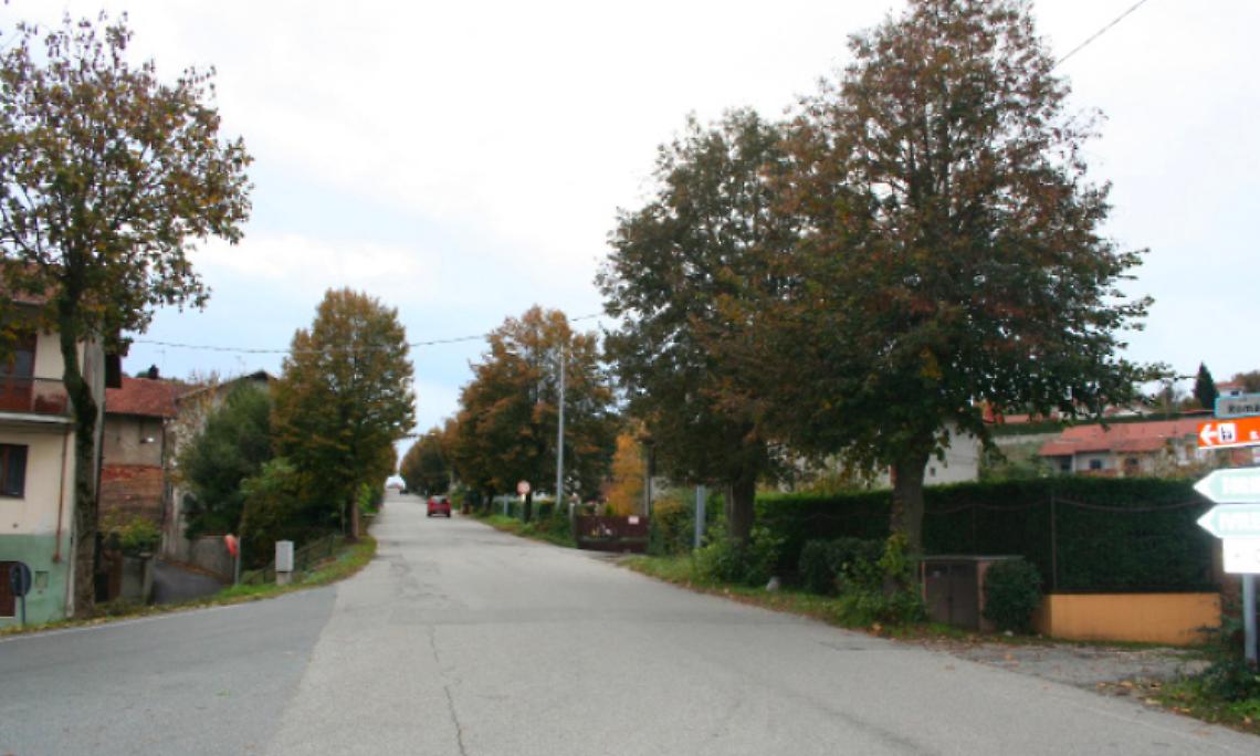 CANDIA. Verranno abbattuti i tigli per fare un marciapiede
