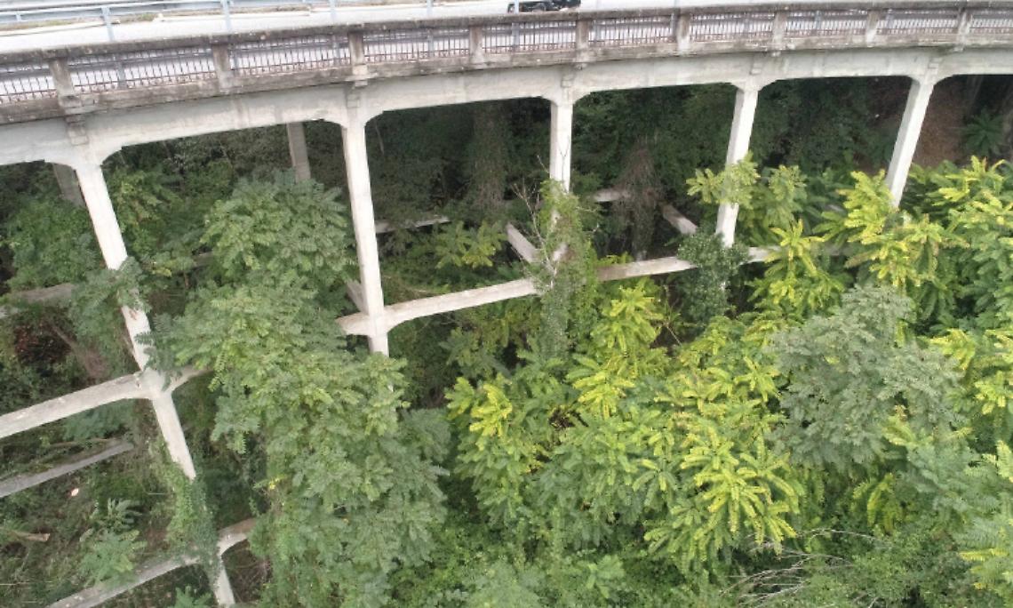 STRAMBINELLO. Bozzello coordina la pulizia nei terreni sotto il ponte Preti