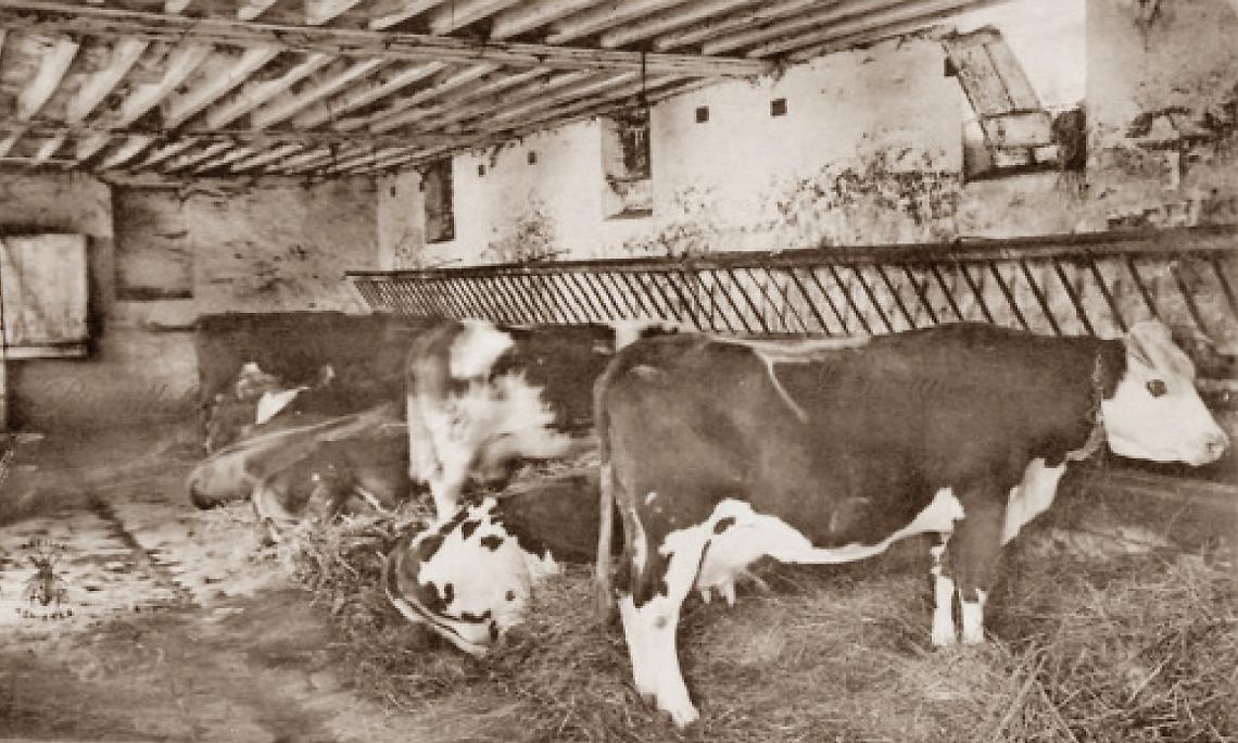 SETTIMO. Il tempo dei malgari