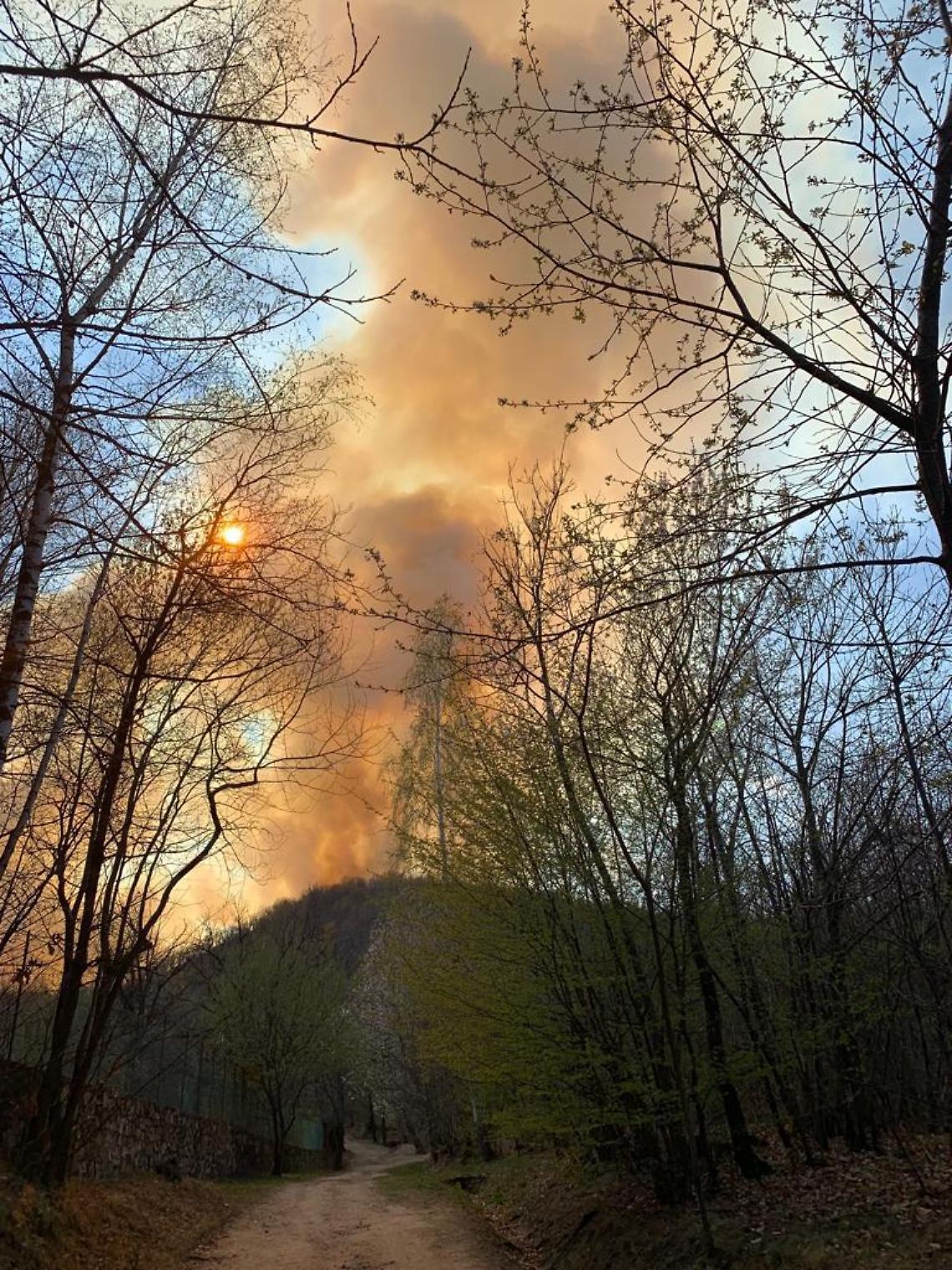 VALPERGA. Incendi, danni ingenti alla Riserva del Sacro Monte di Belmonte (IL VIDEO)