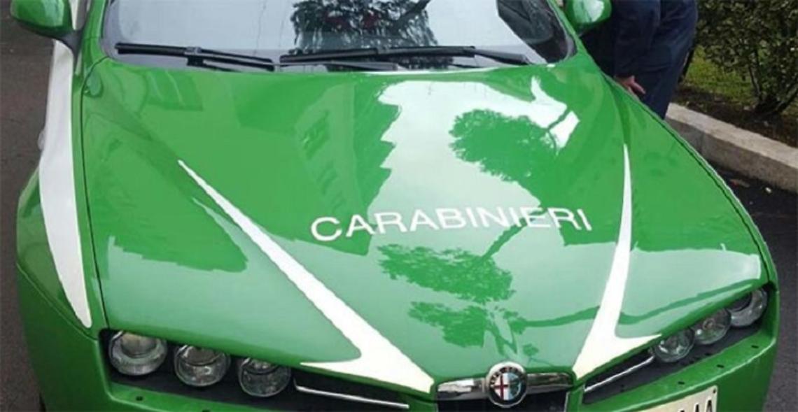Carabinieri forestali scoprono scavo illegale