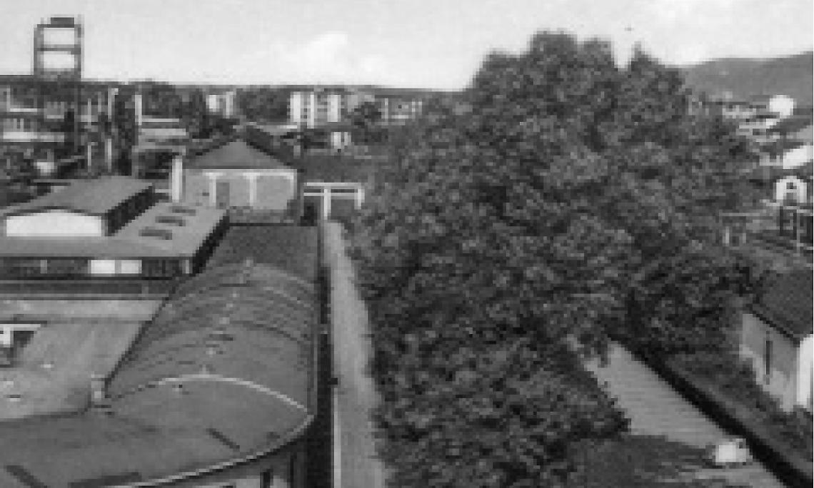 SETTIMO. La Farmitalia, storia di un’industria