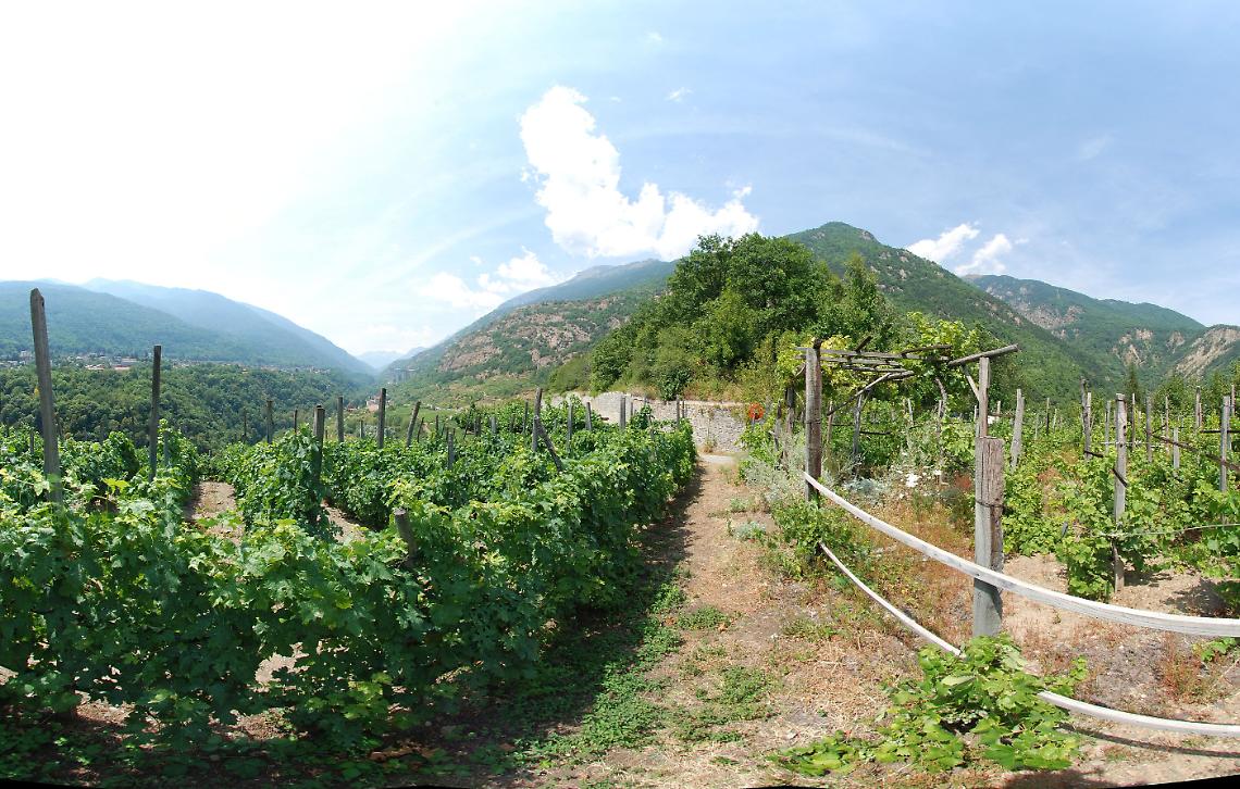 EXILLES. Domenica 13 Ottobre "Provincia Incantata, per scoprire i segreti del vino e del ghiaccio