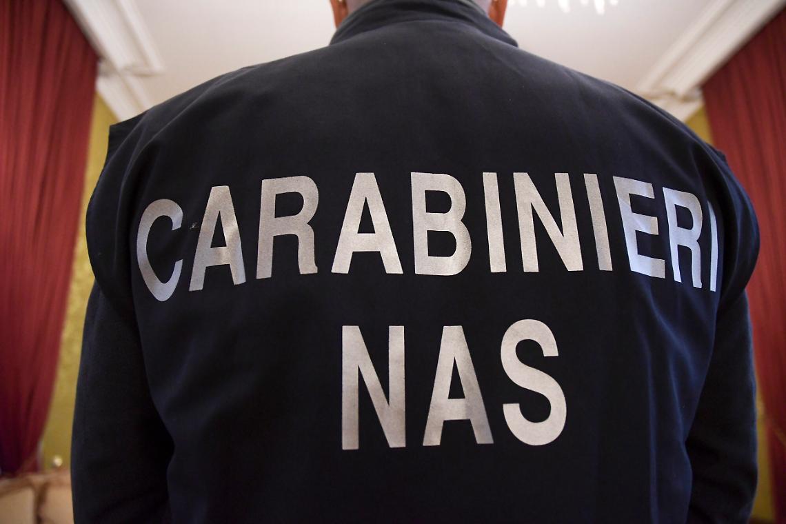 ROMA. Abuso alcol e carenze igieniche, Nas scopre 111 irregolarità