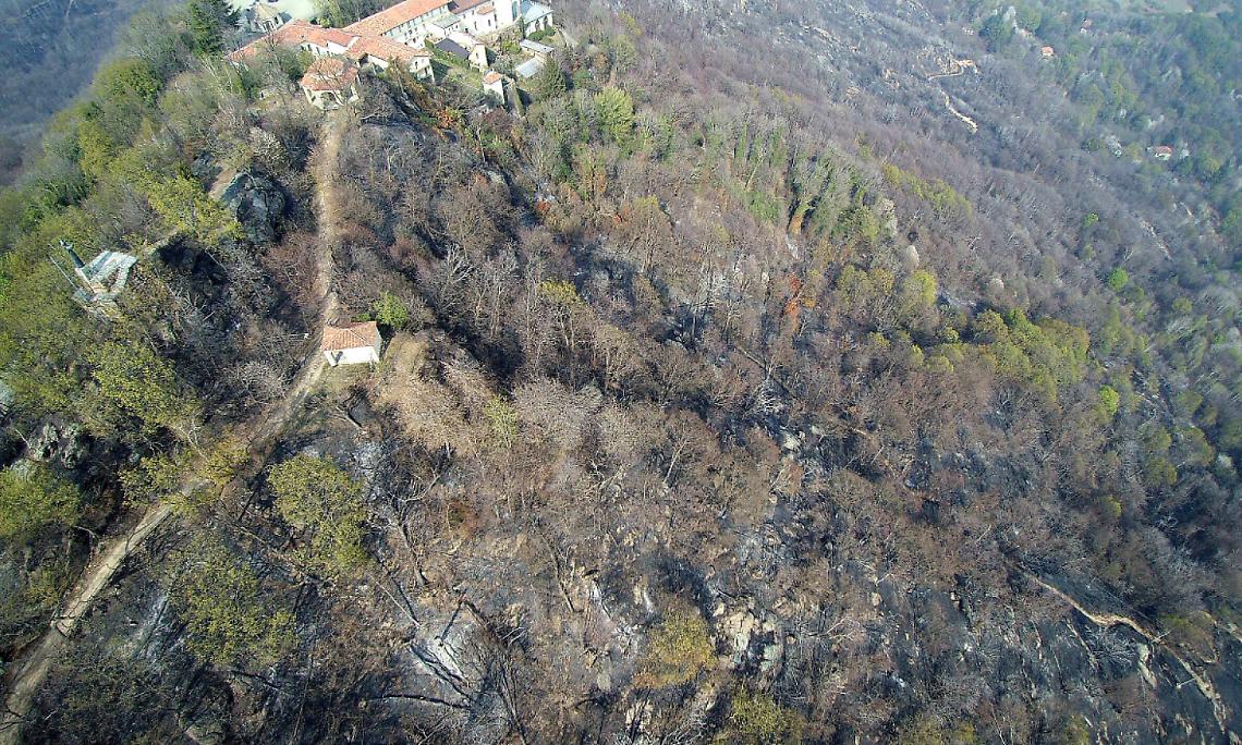 VALPERGA. Le migliori tecnologie per ripristinare i boschi di Belmonte
